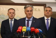 Karan: Imamo potencijale koji mogu doprinijeti razvoju Republike Srpske