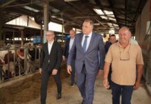 Dodik u Štrpcima: Pomoći proizvođačima poput „Farme Babić“