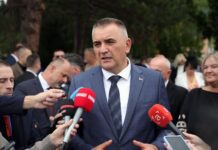 Minić: Dobar svaki sporazum koji postignu dvije najveće svjetske sile