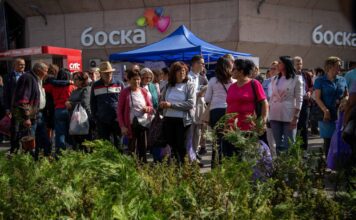 Građanima podijeljeno 500 sadnica čempresa