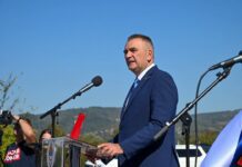 Minić: Srpska trobojka nikad nije bila na pogrešnoj strani istorije