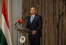 Minić: Srbi i danas vode bitku, i to za očuvanje identiteta