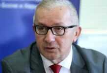 Mitrović: Međunarodni propisi štite biračko pravo građana sa dvojnim državljanstvom